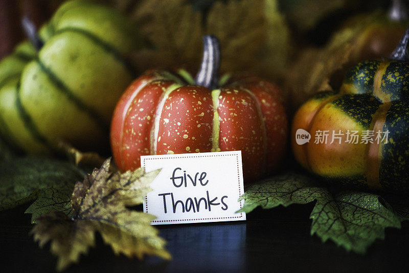感恩节秋季安排南瓜，树叶和感谢信息