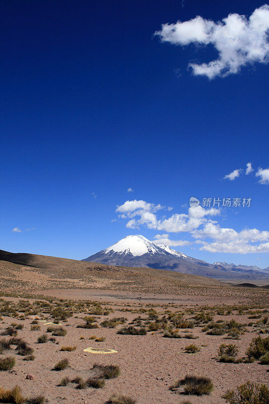 智利帕里纳科塔火山-遥远的肖像