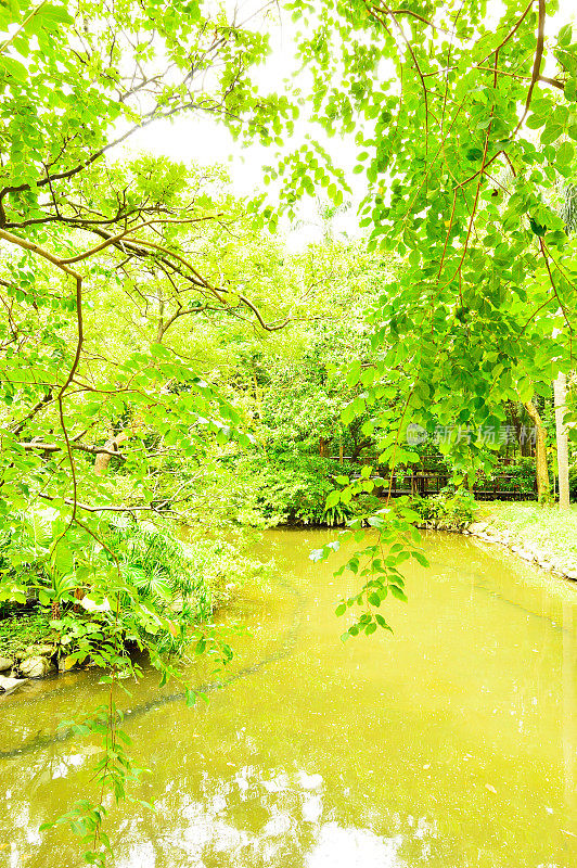 台湾台北植物园