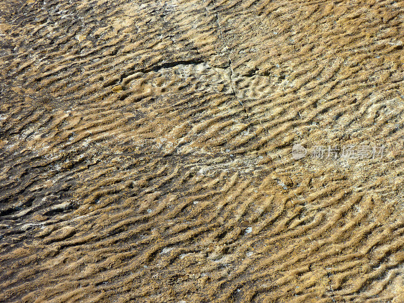 达科塔砂岩的涟漪标志着科罗拉多恐龙岭