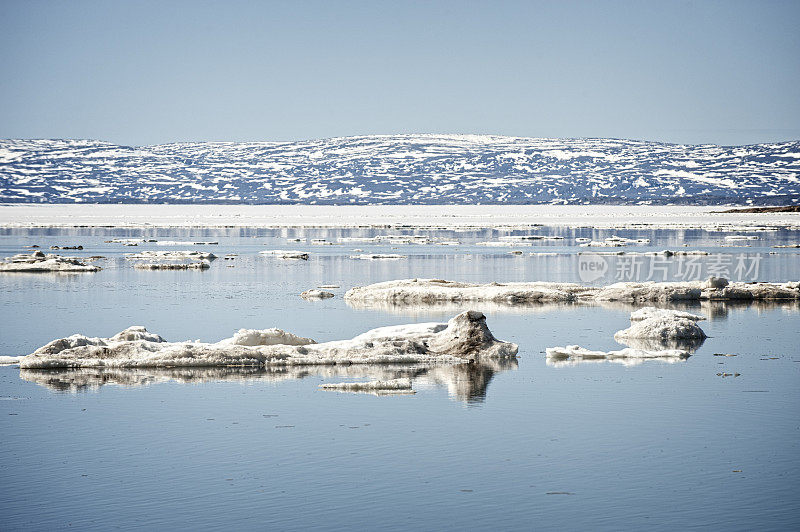 加拿大努勒维特，弗罗比舍湾，巴芬岛冻原。