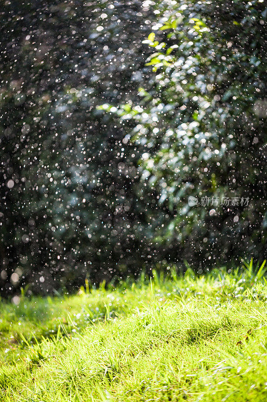 雨滴