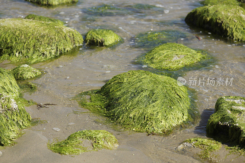 海滩系列