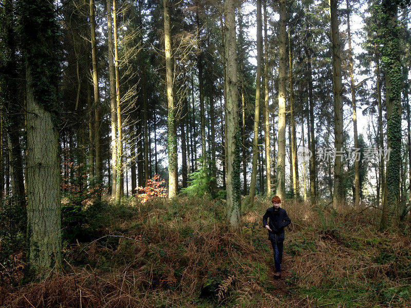 一个男孩在树林里散步的画面