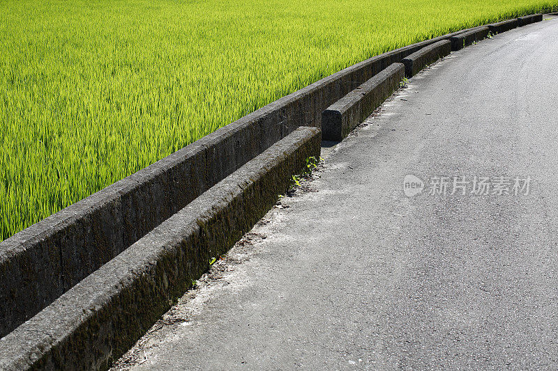 柏油路和绿色稻田