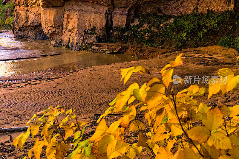 秋季沙漠峡谷风景