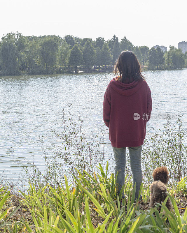 后视图的女人和狮子狗站在湖边