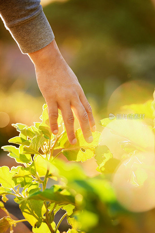 与植物亲密接触