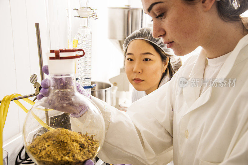 两名技术人员在植物天然化妆品实验室工作。