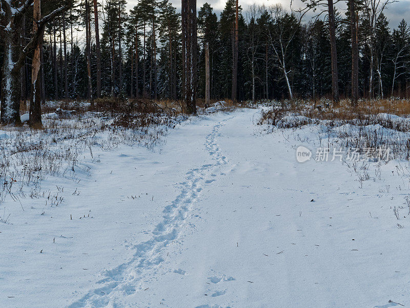 雪地上的脚印