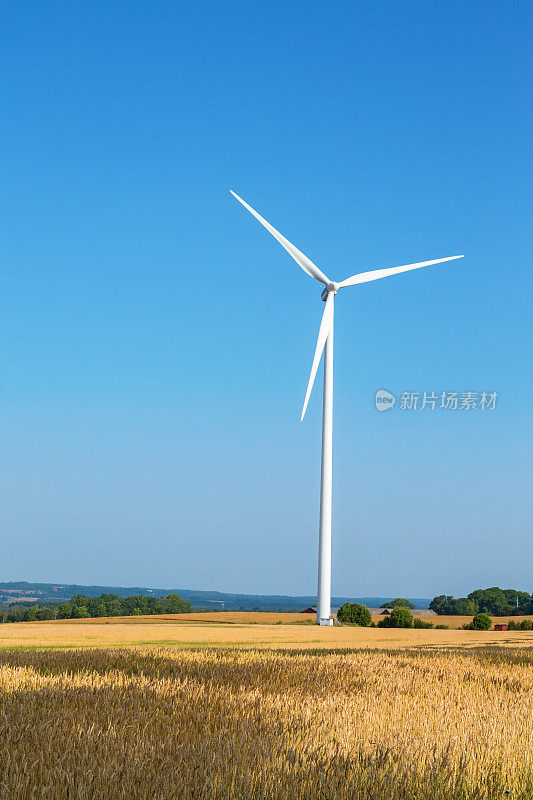 乡村风景中的玉米地里的风力涡轮机