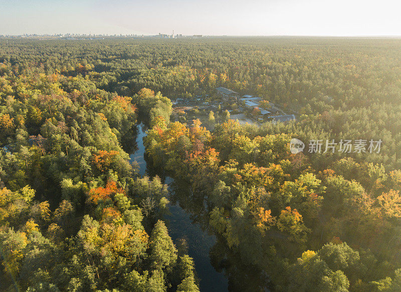 美丽的橙色和红色的秋天森林。俯瞰秋天的森林和河流。鸟瞰图和俯视图。秋天的空中景观。一张照片是从上面拍的。