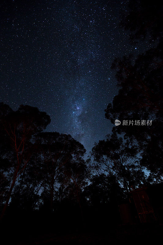 银河的星星在森林空地上的夜空中闪烁