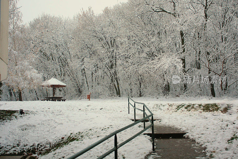 贝尔格莱德冬天的雪景