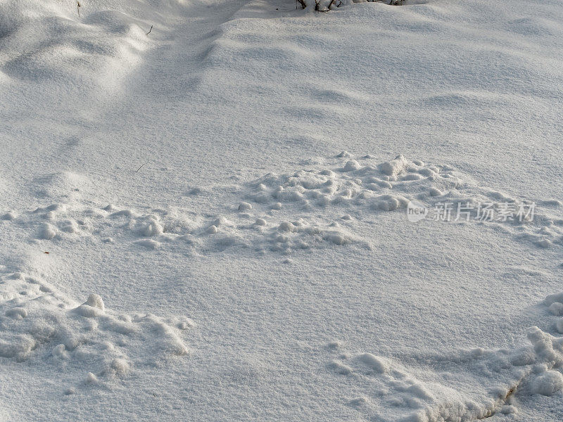 地上有雪