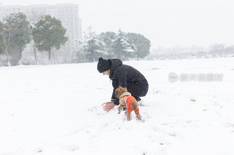 男人和宠物狗在雪地上滚雪球