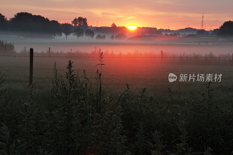 日出时朦胧的景色