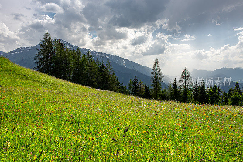 奥地利阿尔卑斯山的山脉和草地