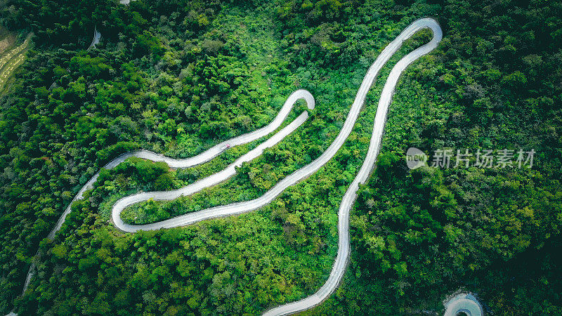 通过森林的道路俯视图