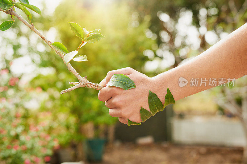 大自然可以成为你的朋友