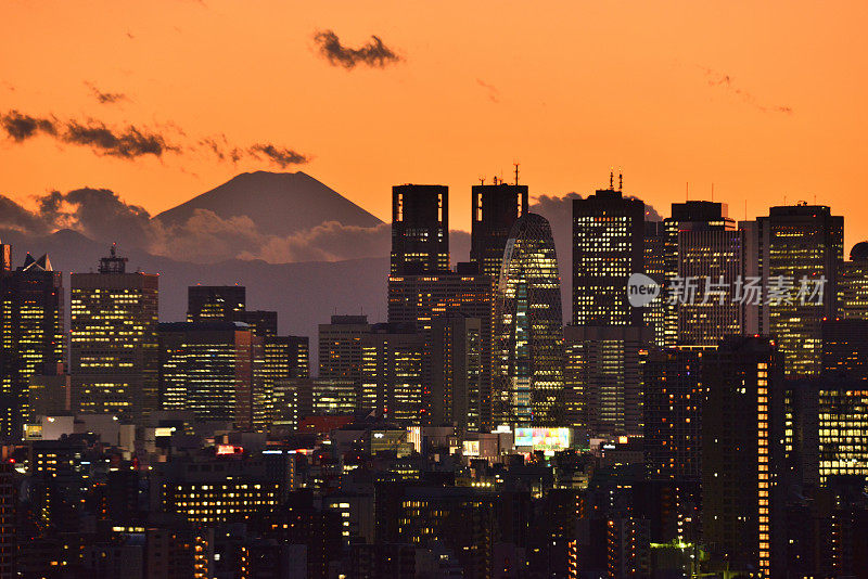 富士山和东京的天际线:白天和黑夜