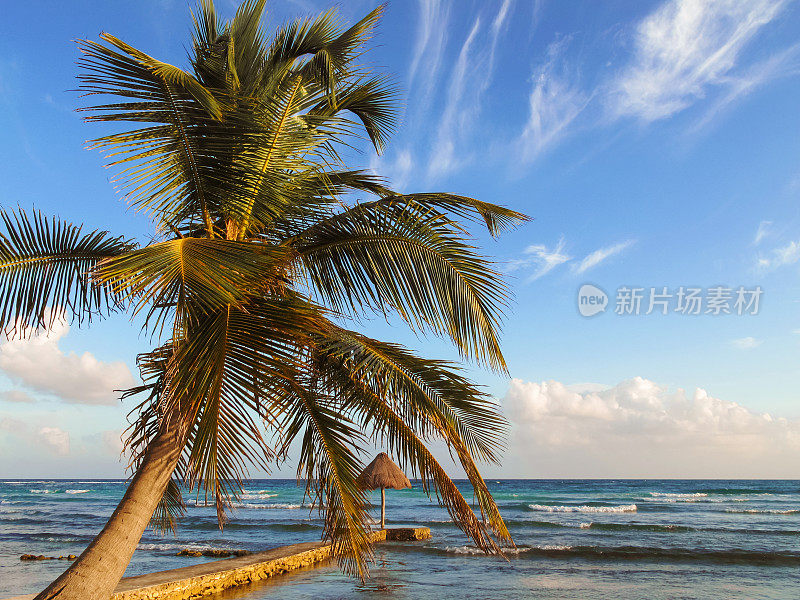 日出的热带海滩上的Palapa和棕榈树，玛雅里维埃拉，墨西哥，aventura港