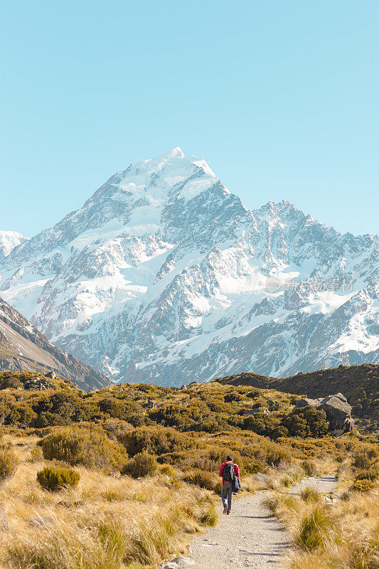 新西兰库克山;独自徒步旅行者在阳光下在库克山徒步路线。