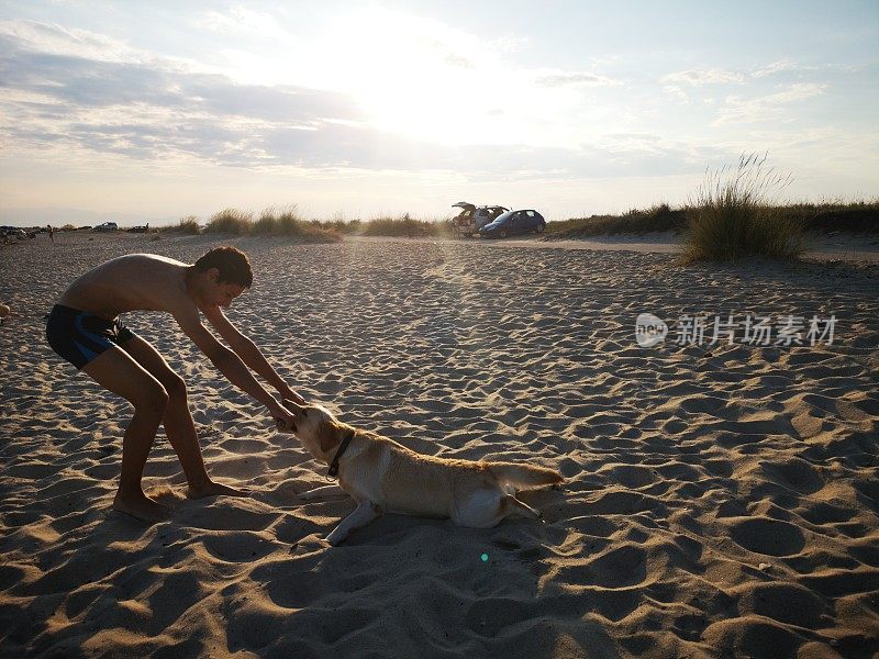 男孩在海滩上和狗玩