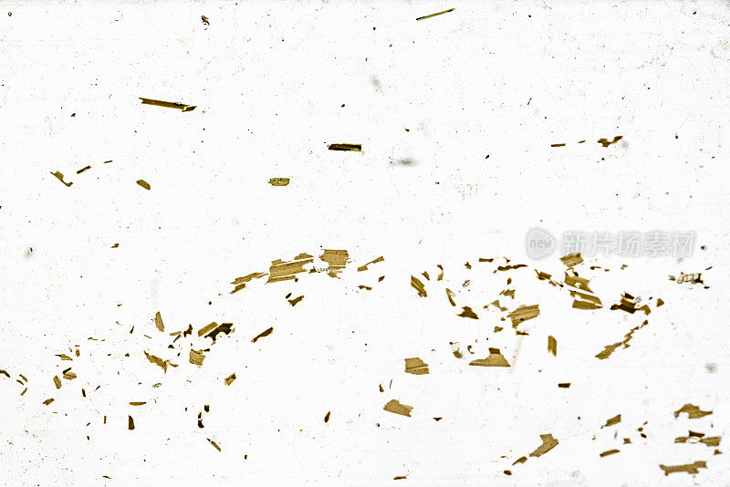 片麻岩矿物显微镜载玻片在光镜下