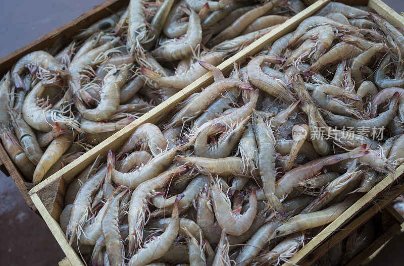 海鲜市场里许多鲜虾的特写镜头