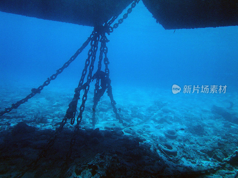 水下景观与鱼红海