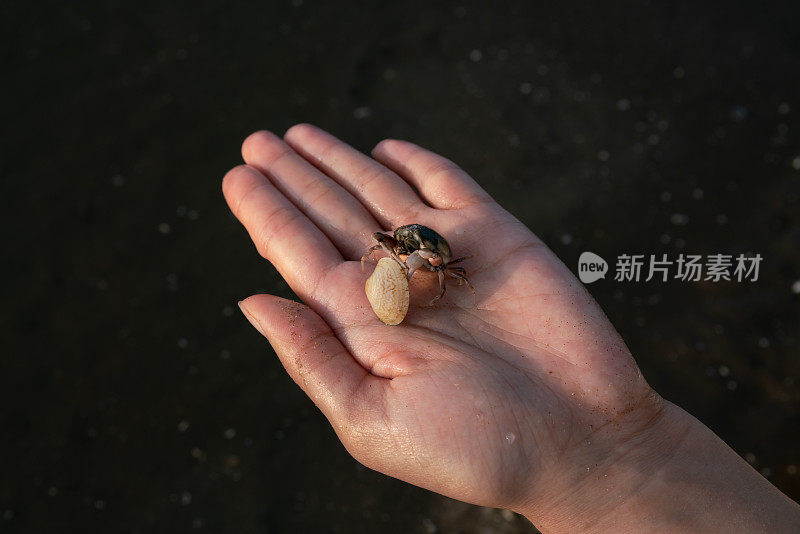 手里拿着螃蟹的女孩