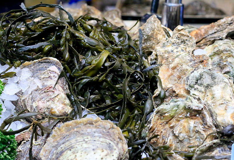 伦敦博罗市场的牡蛎