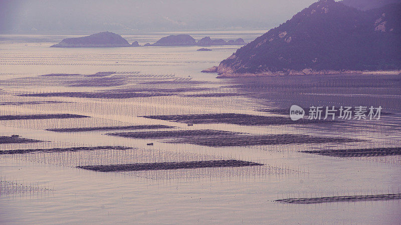 日出海藻农场，霞浦，中国，福建