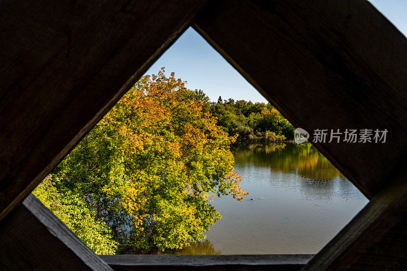 速度河视图从盖着桥在圭尔夫，加拿大安大略省。