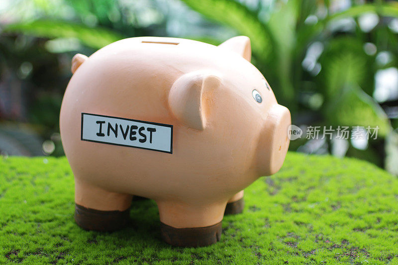图像的小猪银行与插槽顶部与投资标签，家庭财务和储蓄的概念