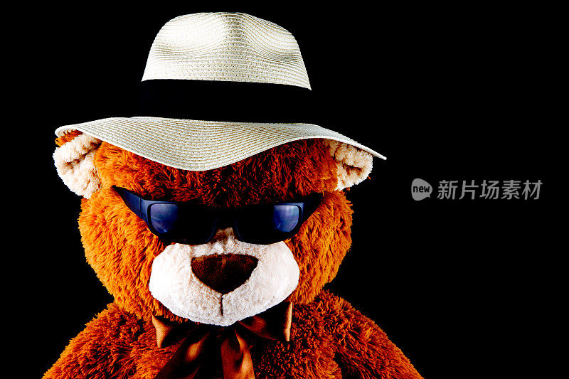 在黑色背景上戴着巴拿马草帽和太阳镜的泰迪熊