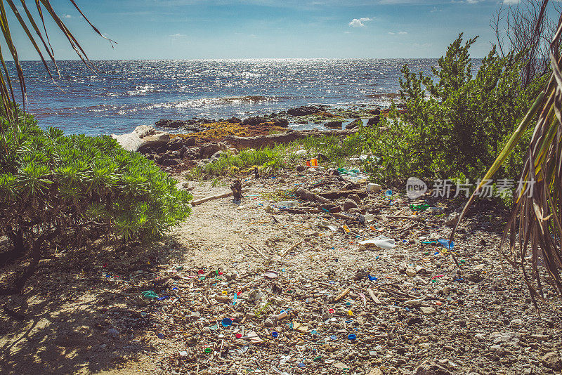 海滩上的垃圾