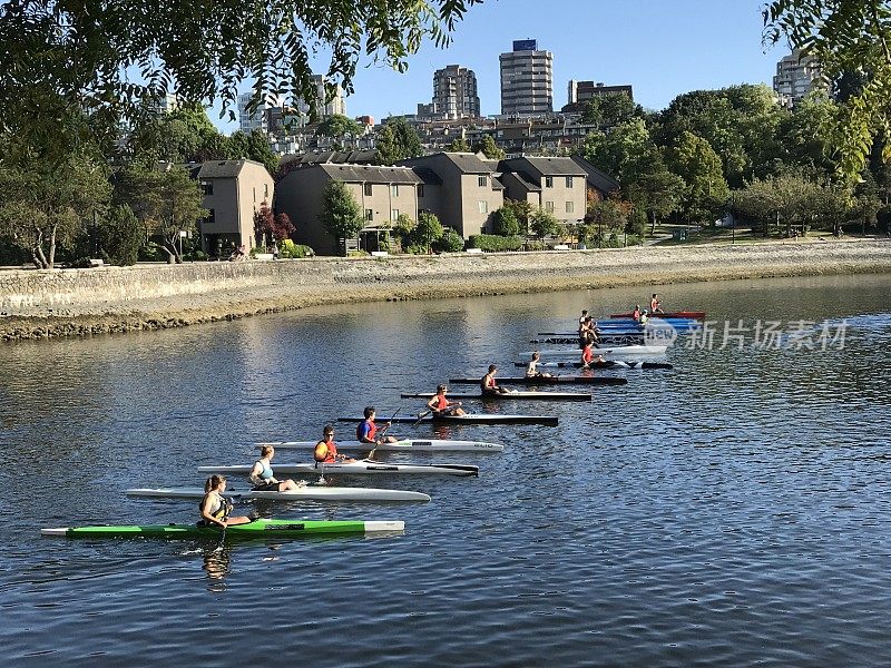 一群人在温哥华港皮划艇与住宅在夏季在温哥华，BC，加拿大
