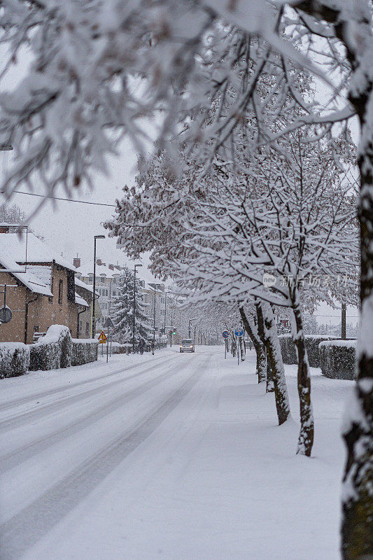 积雪覆盖的道路上爬满了积雪的树木