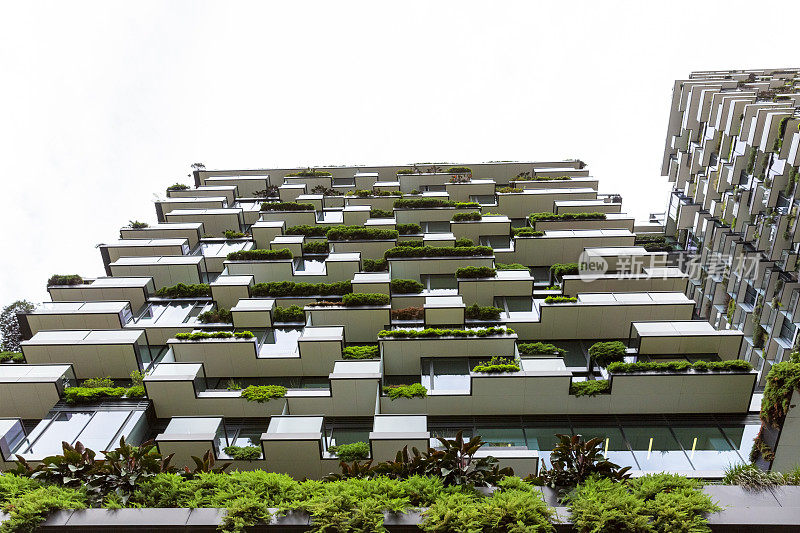 低视角公寓建筑垂直花园，背景与拷贝空间