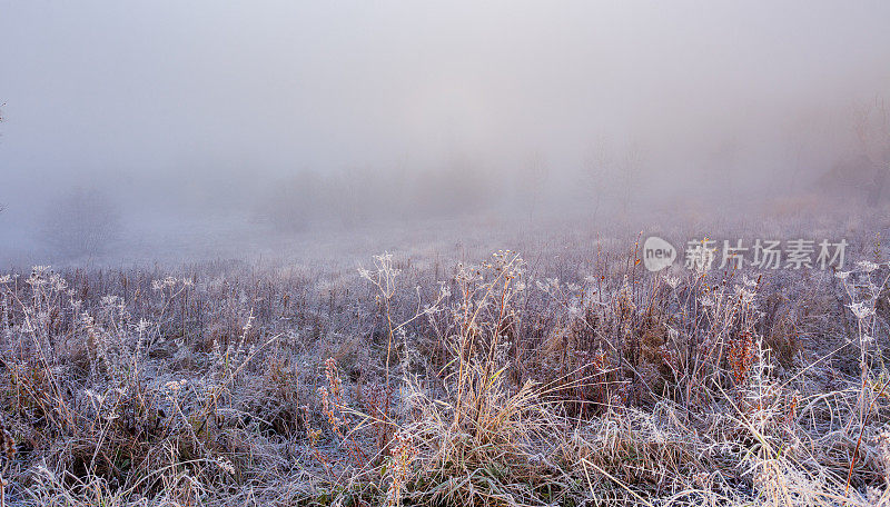 田野在雾中。冬天寒冷的早晨，田野上冻住了的草。草上覆盖着白霜。冬季的开始。冷淡的阳光明媚的早晨。草地上的冰。草地上的冰晶