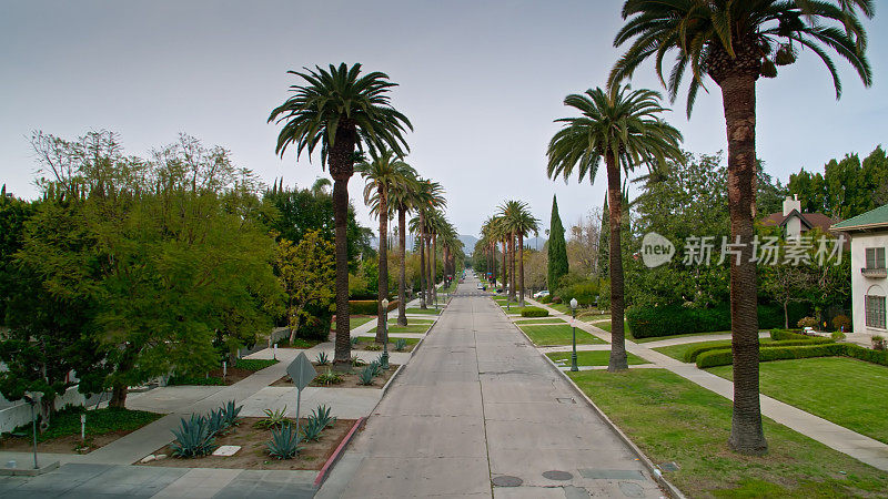 位于洛杉矶汉考克公园的棕榈林荫住宅街