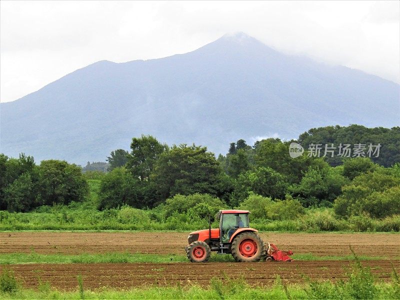 日本。8月。筑波山脚下，一位农民开着拖拉机在为新季节准备田地。