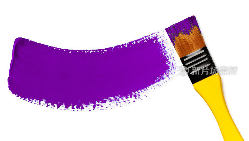 紫色笔刷(在白色上孤立)