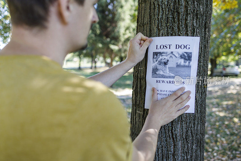 有人把丢失狗的海报印在树上