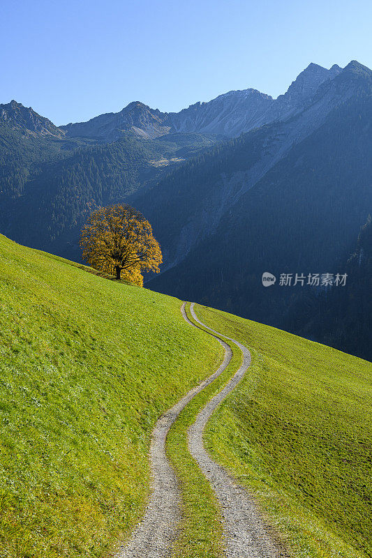 弯曲的乡间小路