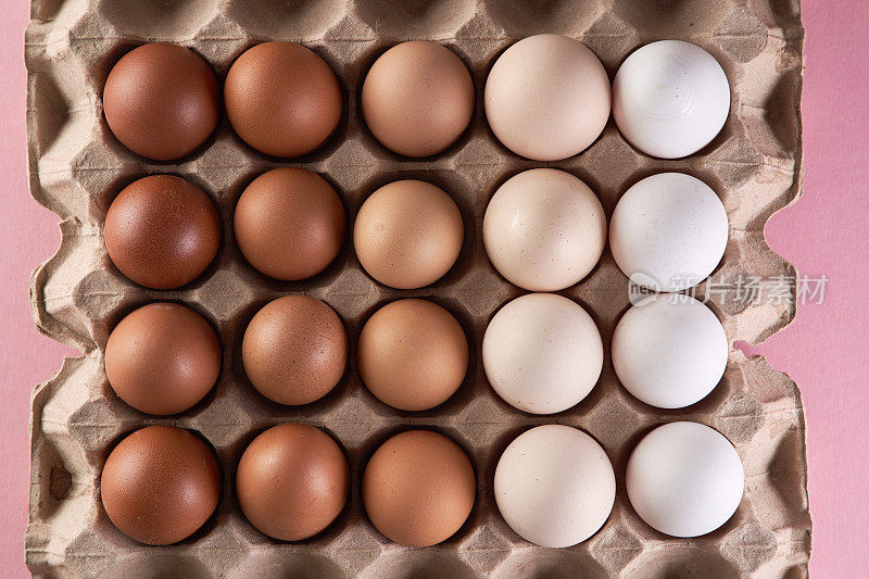 鸡蛋托盘上的鸡蛋是自然色调和颜色的