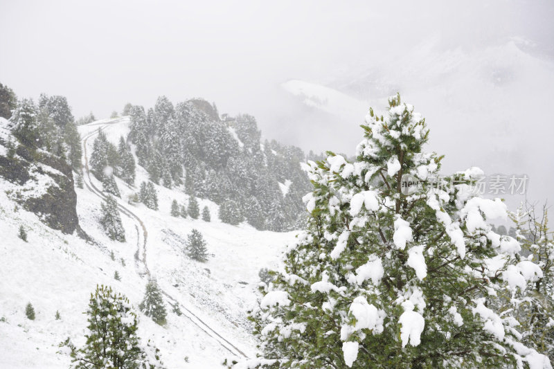 雪山冬雪风景区在暴风雪