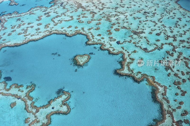 昆士兰圣灵岛大堡礁的心礁